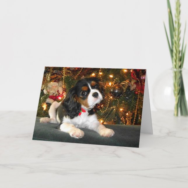 Festividades Cartão de Natal Cavalier King Charles Spaniel (Frente)