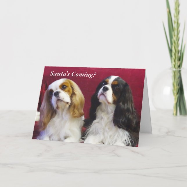 Festividades Cartão de Natal Cavalier King Charles Spaniels (Frente)