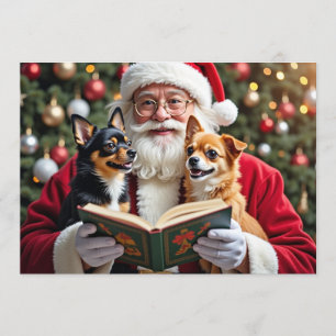 Festividades Cartão de Natal Chihuahua