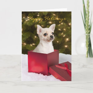 Festividades Cartão de Natal Chihuahua