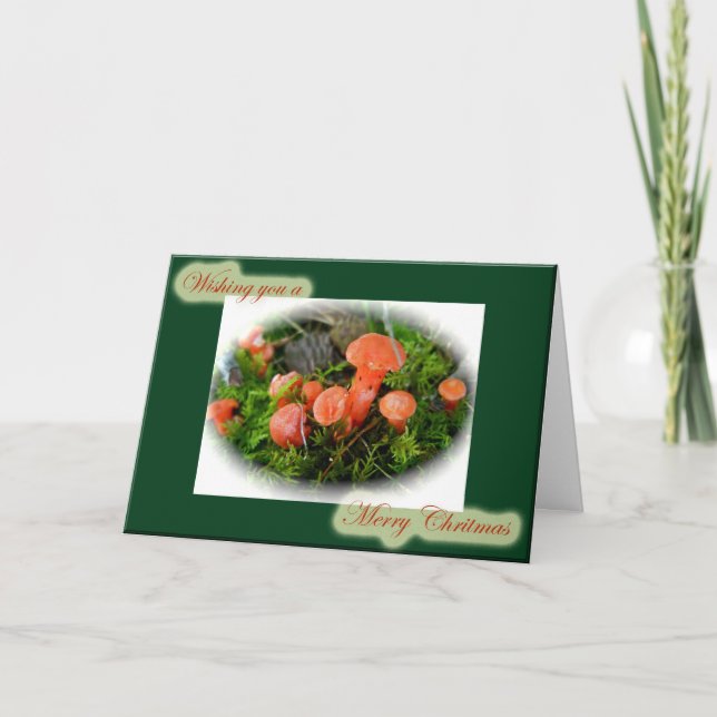 Festividades Cartão de Natal Cogumelos Brilhantes (Frente)