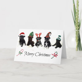 Festividades Cartão de Natal com filhotes de cachorro do