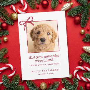 Festividades Cartão de Natal com Foto Divertida de Cachorro Fof