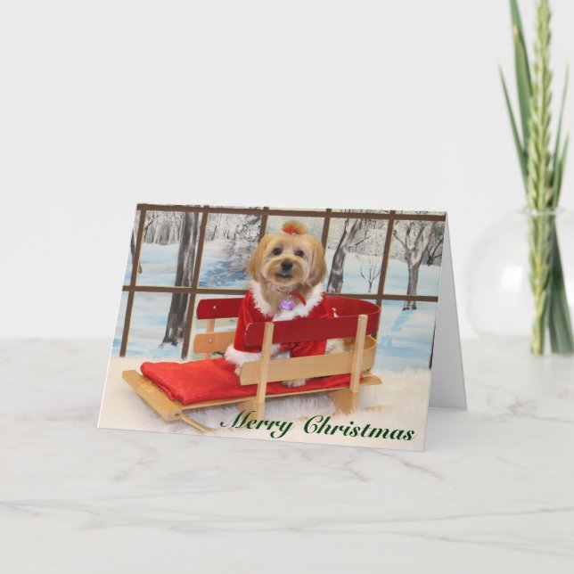 Festividades Cartão de Natal com Joey (Frente)