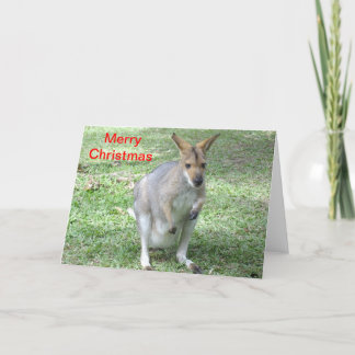 Festividades Cartão de Natal com tema australiano