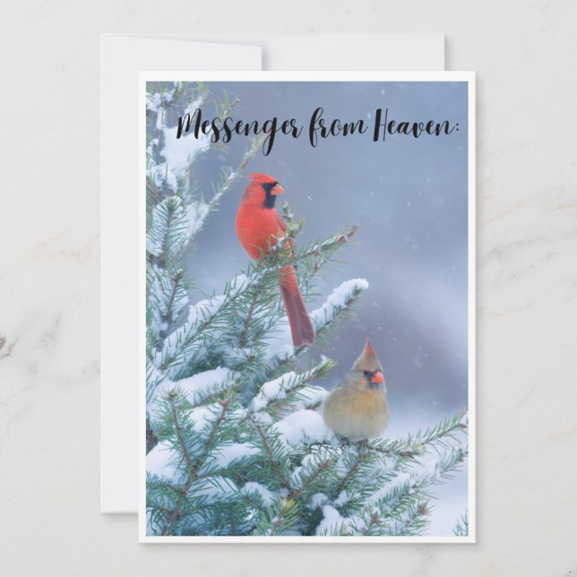 Festividades Cartão de Natal com um Cardinal Vermelho (Frente)
