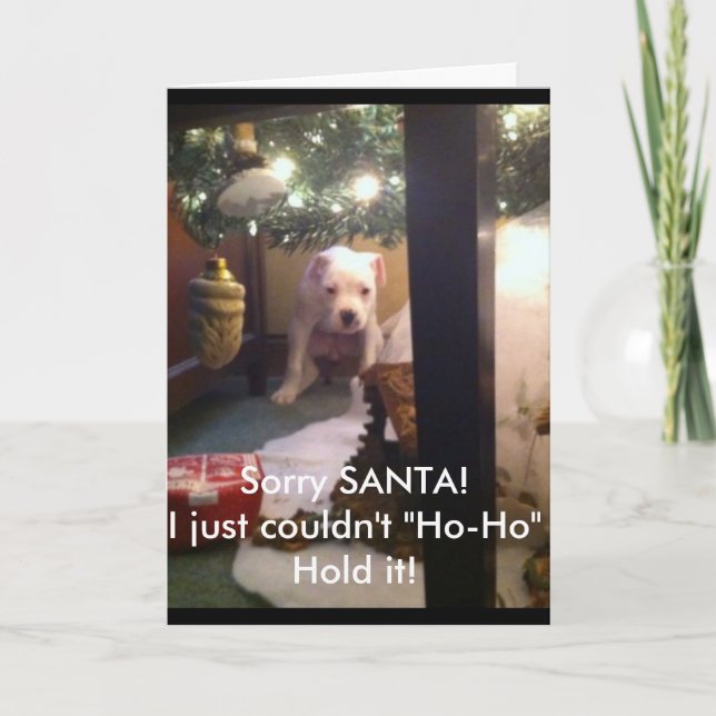 Festividades CARTÃO de NATAL cómico! (Frente)