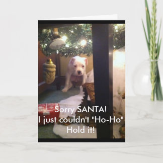 Festividades CARTÃO de NATAL cómico!