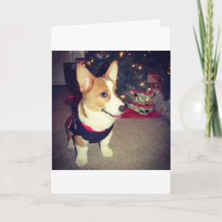 Festividades Cartão de Natal Corgi