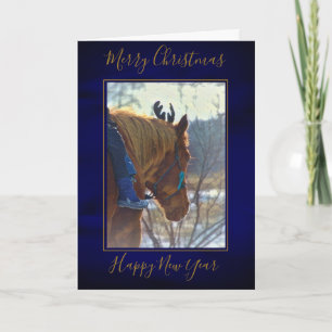 Festividades Cartão de Natal "Corrida de Natal"