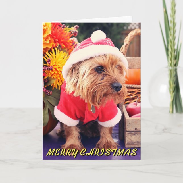 Festividades Cartão de Natal Cujo Terrier (Frente)