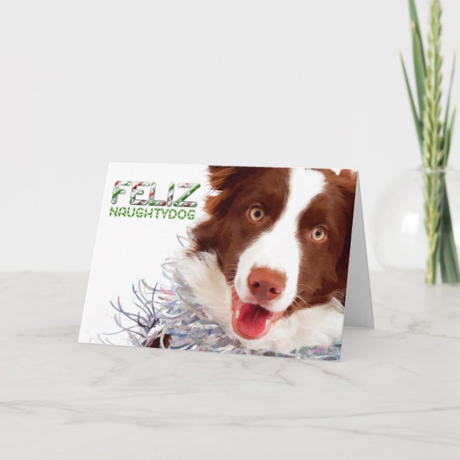 Festividades Cartão de Natal da Border Collie (Frente)