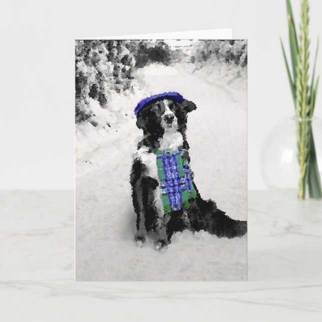 Festividades Cartão de Natal da Border Collie (Frente)