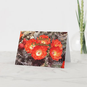 Festividades Cartão de Natal da flor do cacto