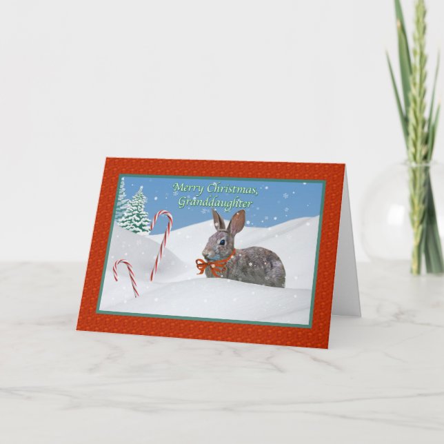 Festividades Cartão de Natal da neta com coelho (Frente)