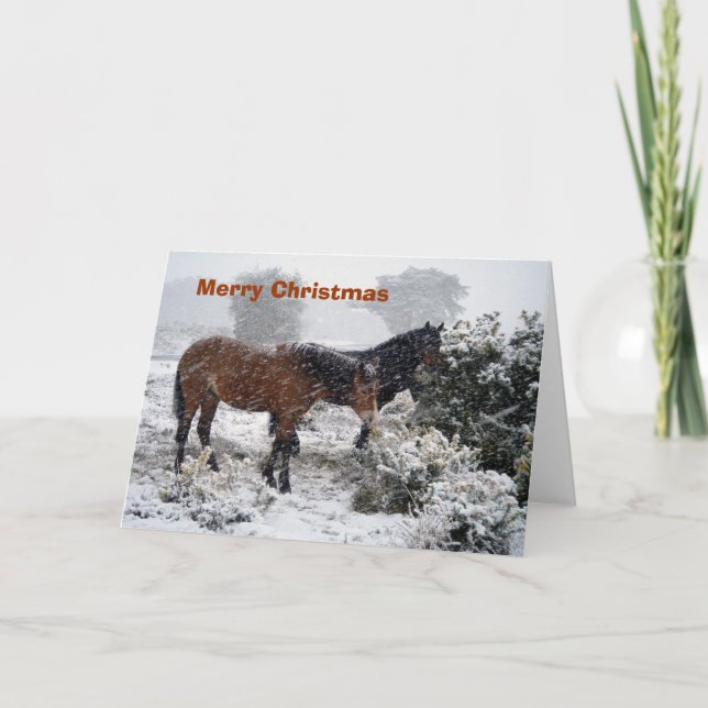Festividades cartão de Natal da Pônei-em-tempestade de neve (Frente)