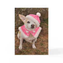 Cartão de Natal da Sra. Claus