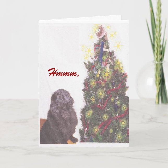 Festividades Cartão de Natal da Terra Nova (Frente)