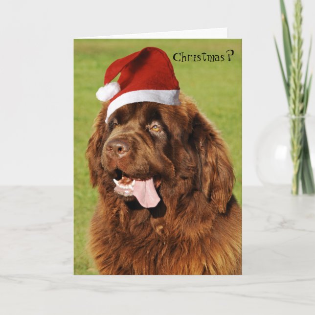 Festividades Cartão de Natal da Terra Nova (Frente)
