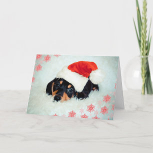 Festividades Cartão de Natal Dachshund