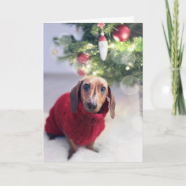Festividades Cartão de Natal Dachshund