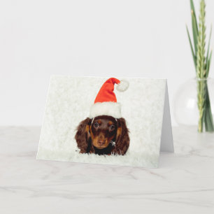 Festividades Cartão de Natal Dachshund