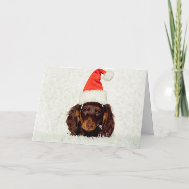 Festividades Cartão de Natal Dachshund (Frente)