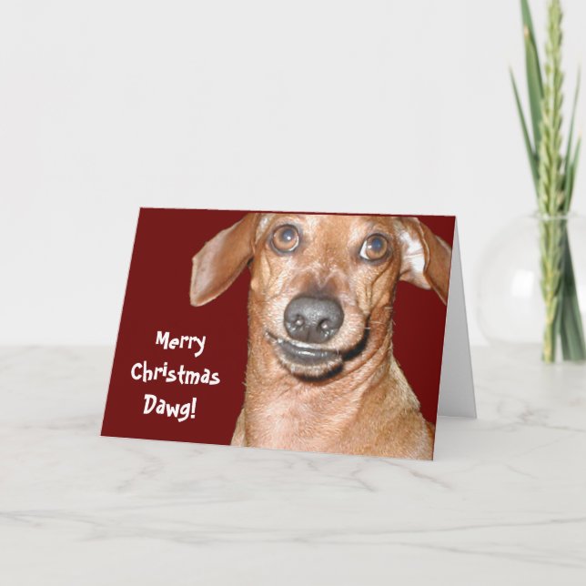 Festividades Cartão de Natal Dachshund Dawg (Frente)