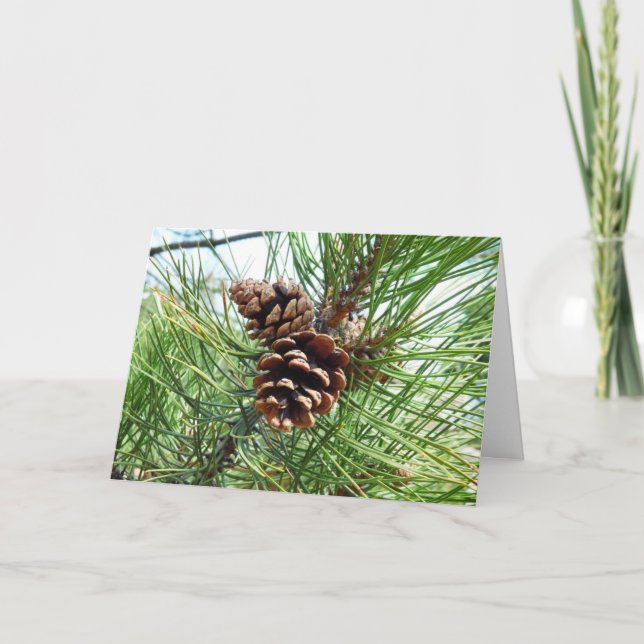 Festividades Cartão de Natal das agulhas do pinho (Frente)