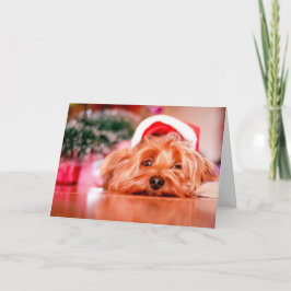 Festividades Cartão de Natal das patas do papai noel