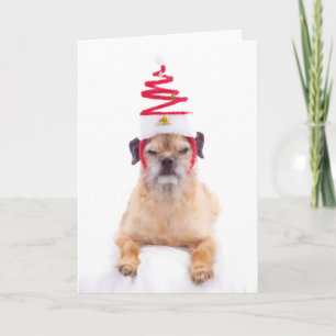 Festividades Cartão de Natal de Borda Terrier