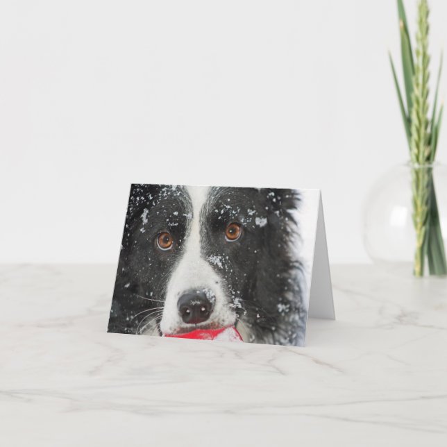 Festividades Cartão de Natal de border collie (Frente)