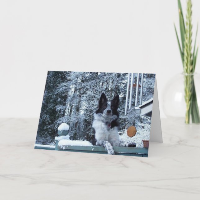 Festividades Cartão de Natal de border collie (Frente)