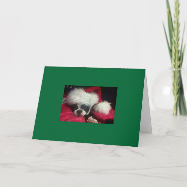 Festividades Cartão de Natal de Boston Terrier (Frente)