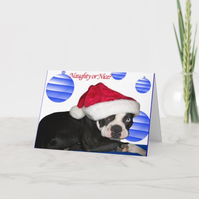 Festividades Cartão de Natal de Boston Terrier (Frente)