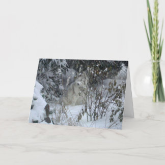 Festividades Cartão de Natal de Cachorro de Joia de Amor pela P