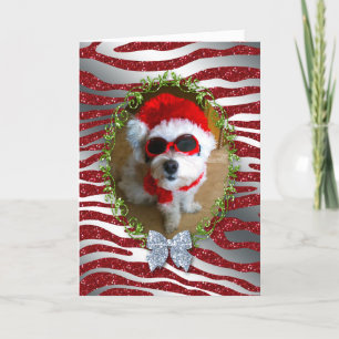 Festividades Cartão de Natal de Cachorro Engraçado Zebra Glitte