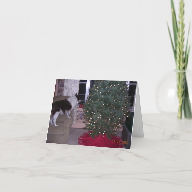 Festividades Cartão de Natal de Cassie (Frente)
