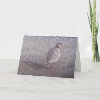 Festividades Cartão de Natal de Chukar