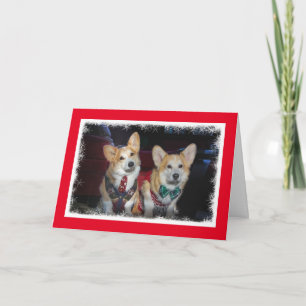 Festividades Cartão de Natal de Corgi, um suéter feio