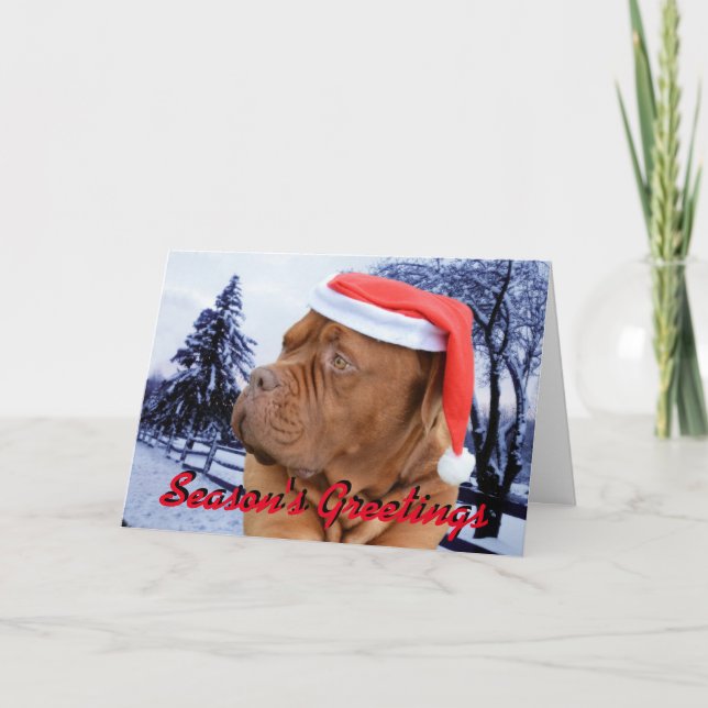 Festividades Cartão de Natal de Dogue de Bordéus (Frente)