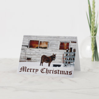 Festividades Cartão de Natal de Donkey