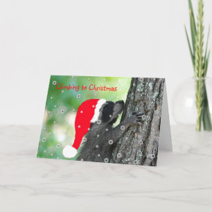 Festividades Cartão de Natal de Escalada