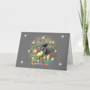 Festividades Cartão de Natal De Esquilo E Amigo Steller Jay