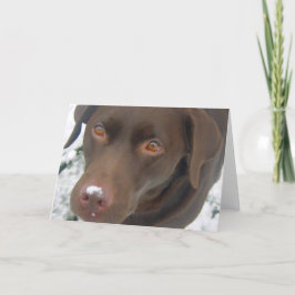 Festividades Cartão de Natal de Férias - Cão de Labrador de Cho