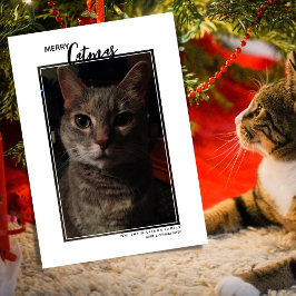 Festividades Cartão de Natal de Férias com Foto de Animal de Es