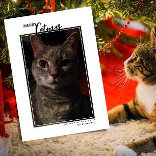 Festividades Cartão de Natal de Férias com Foto de Animal de Es