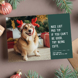 Festividades Cartão de Natal de férias com foto de animal fofo