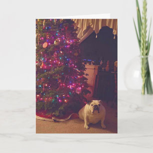 Festividades Cartão de Natal de Férias Feriado de Bulldog Eng