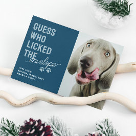 Festividades Cartão de Natal de Foto de Animal Engraçado que La